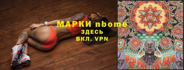 гидра Кинешма