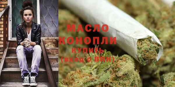 гидра Кинешма