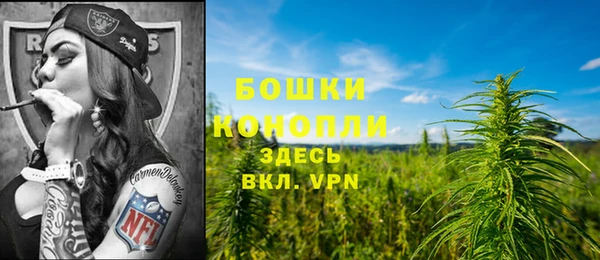 гидра Кинешма