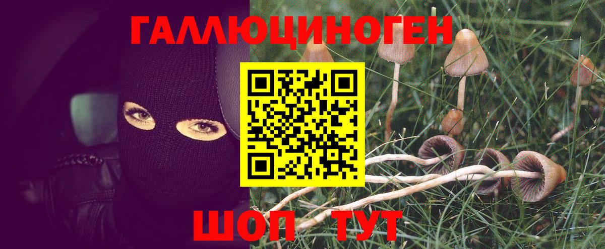 Псилоцибиновые грибы Magic Shrooms Советск