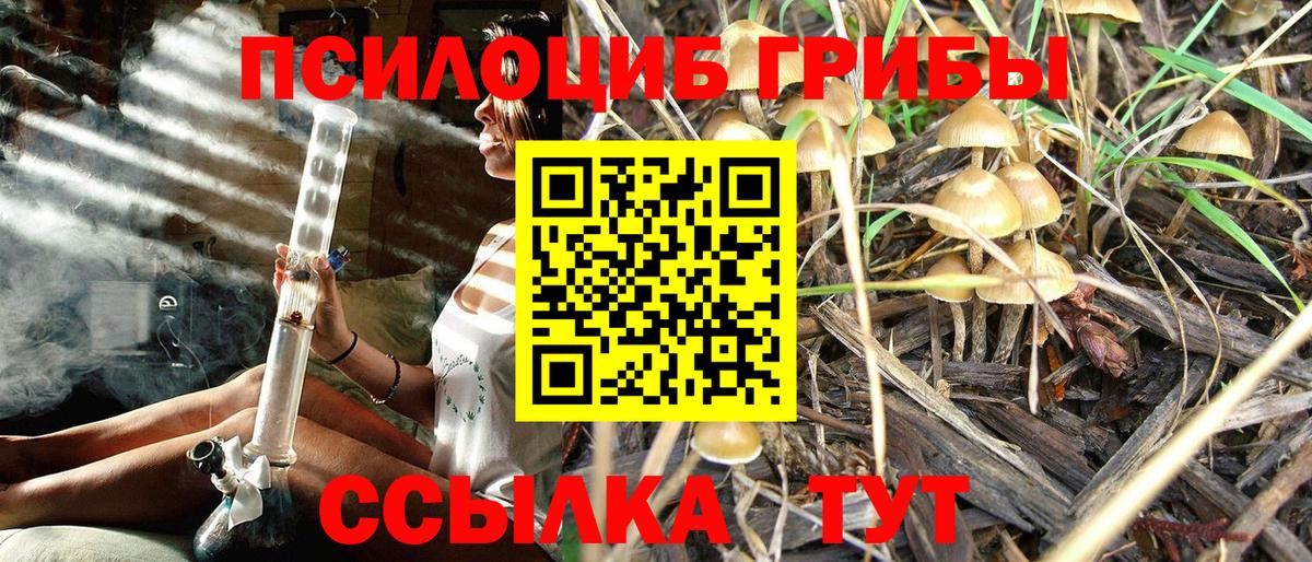 Советск  Псилоцибиновые грибы MAGIC MUSHROOMS  Вход с VPN 
